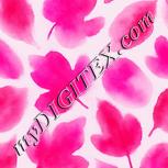 Colour:B