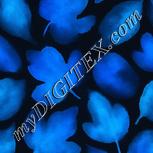 Colour:F