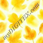 Colour:K