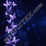 Colour:A
