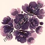 Colour:J