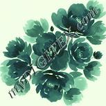 Colour:K