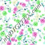 Colour:C