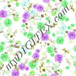 Colour:D