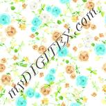 Colour:K
