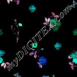 Colour:F