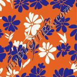 Colour:A