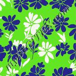 Colour:D