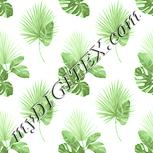 Colour:K