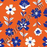 Colour:A