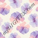 Colour:A