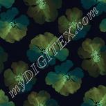 Colour:F