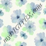 Colour:D