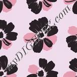 Colour:B