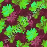 Colour:C