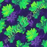 Colour:D