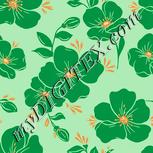 Colour:K