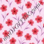 Colour:B