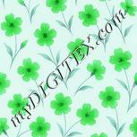 Colour:C