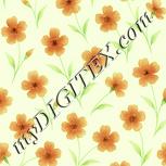 Colour:K