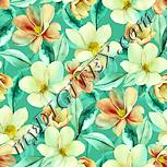 Colour:K