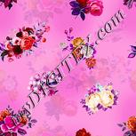 Colour:B
