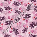 Colour:B