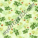 Colour:K