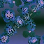 Colour:F