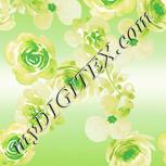 Colour:K