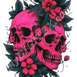Colour:B
