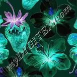 Colour:F