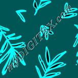 Colour:F