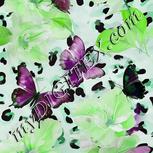 Colour:C