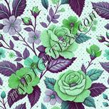Colour:C