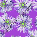 Colour:D