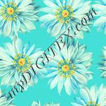 Colour:K