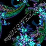 Colour:F