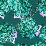 Colour:F