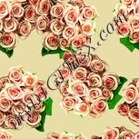 Colour:K