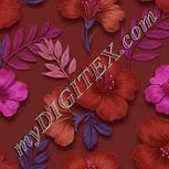 Colour:B