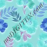 Colour:F