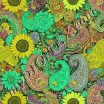 Colour:K