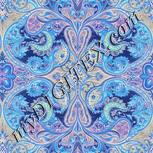 Colour:F