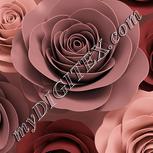 Colour:J