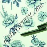 Colour:K