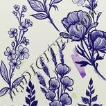 Colour:D