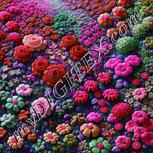 Colour:B