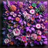 Colour:B