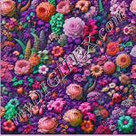 Colour:B